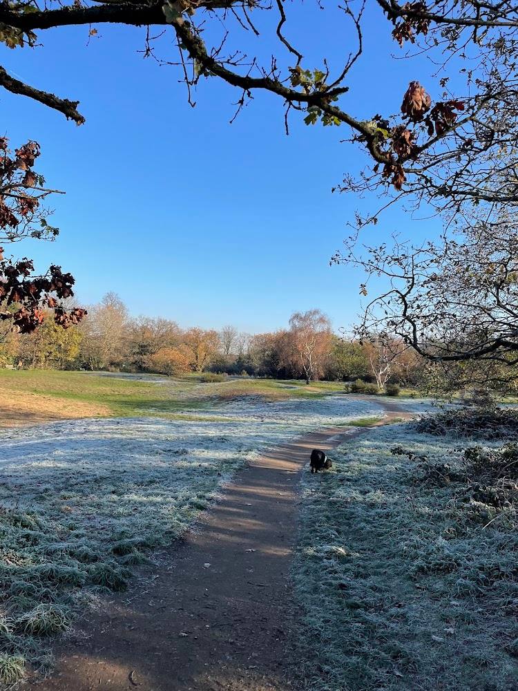 Barnes Common Nature Reserve — Source image