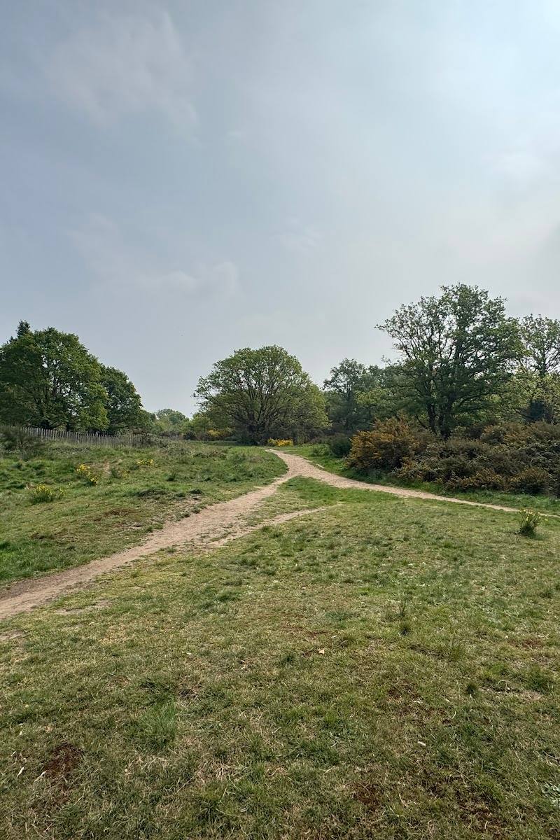 Barnes Common — Place photograph