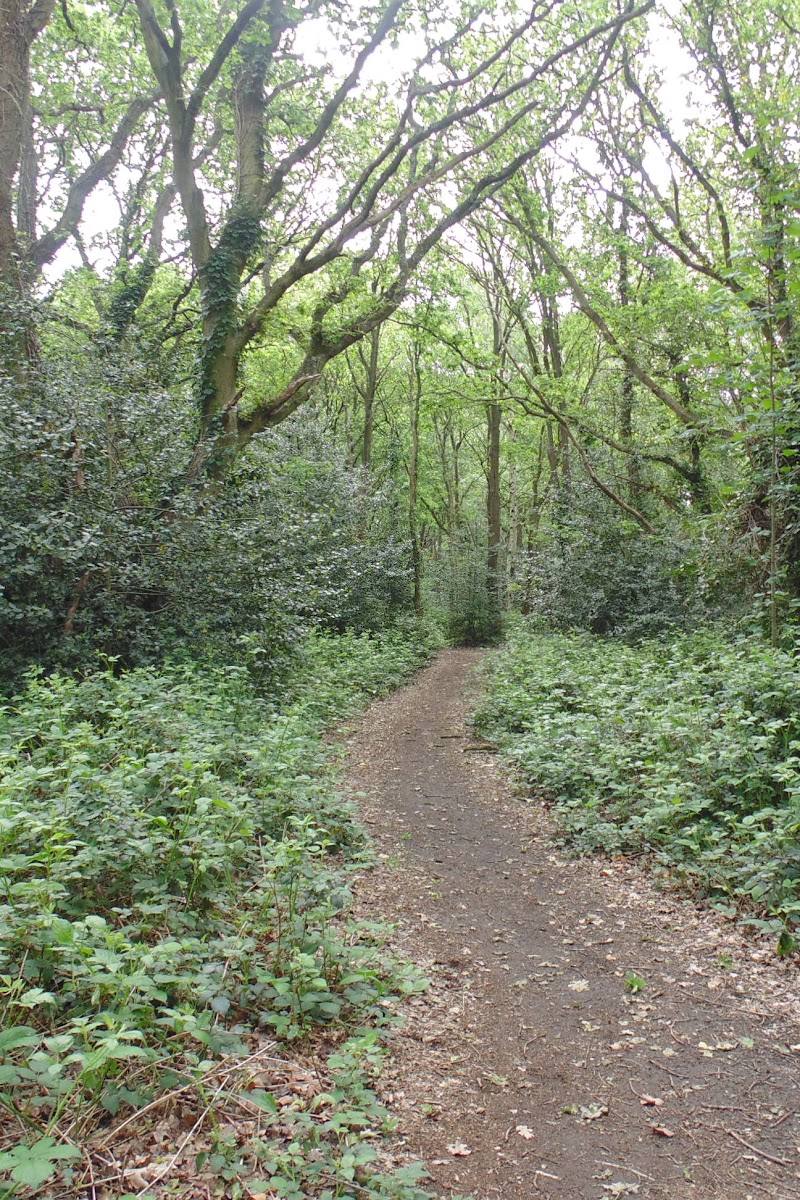 Barnes Common — Place photograph (2 of 3)