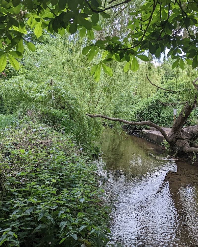 Barnes Green — Source image