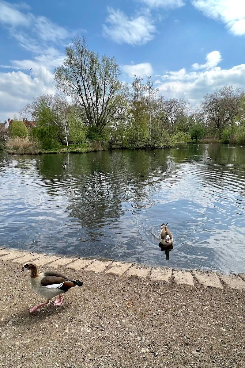 Barnes Pond — Place photograph