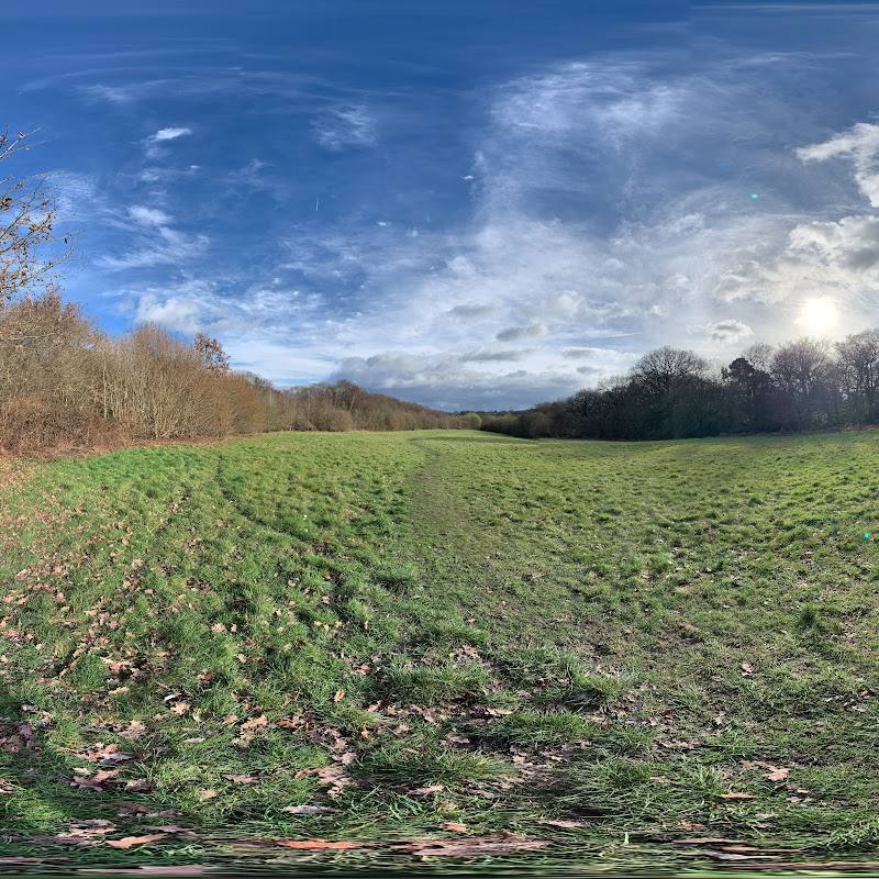 Barnet Gate Wood — Source image