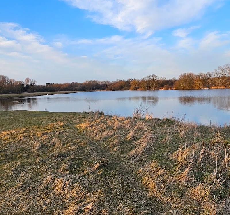 Barns Lane Fishing Lake — Place photograph (2 of 3)