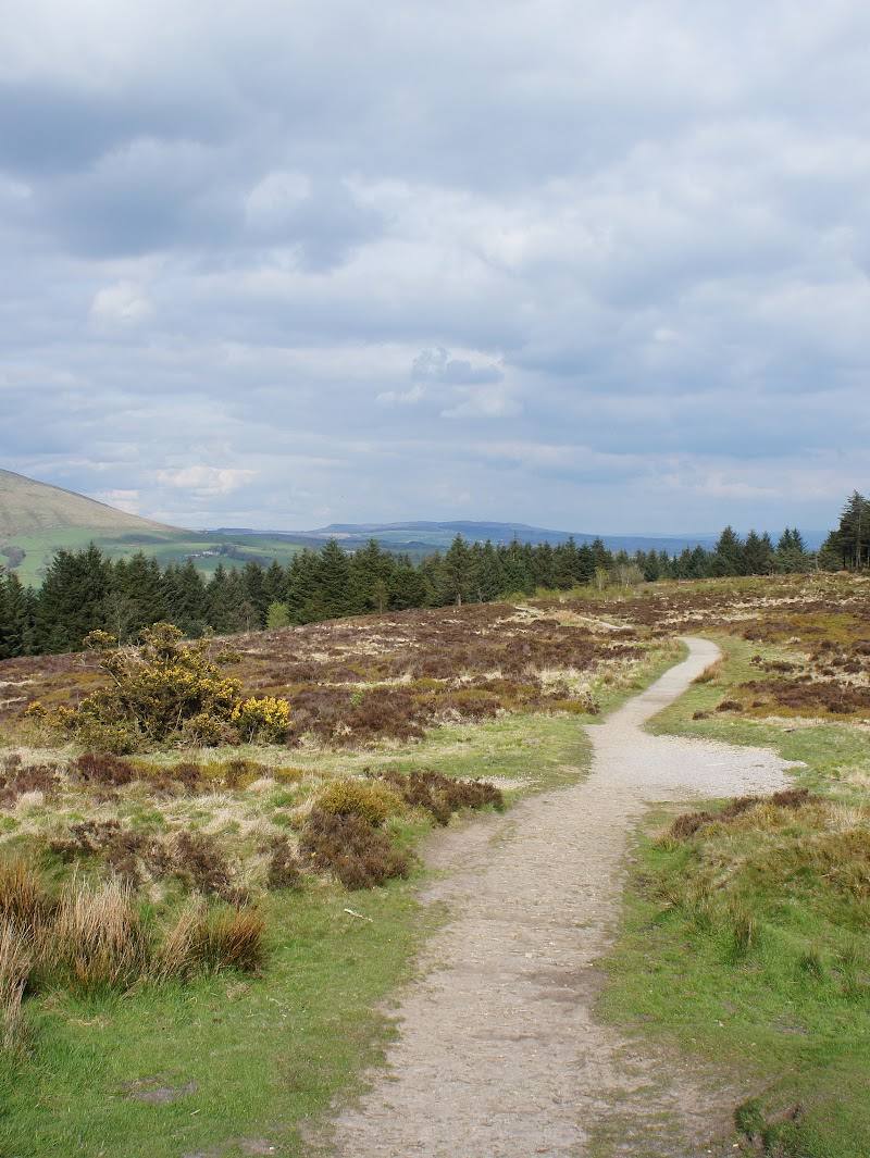 Beacon Fell Country Park