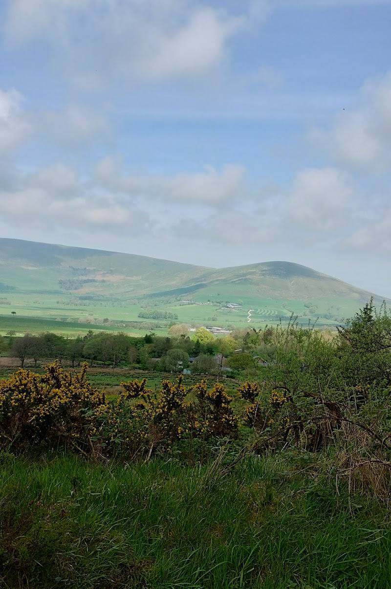 Beacon Fell Country Park
