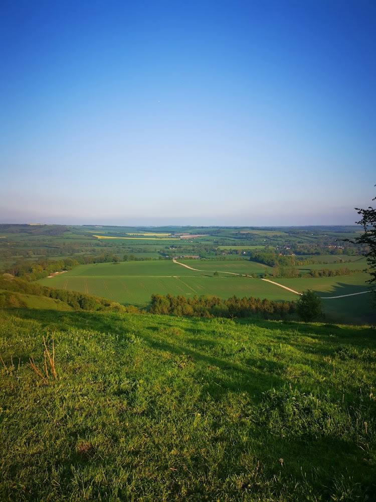 Beacon Hill National Nature Reserve