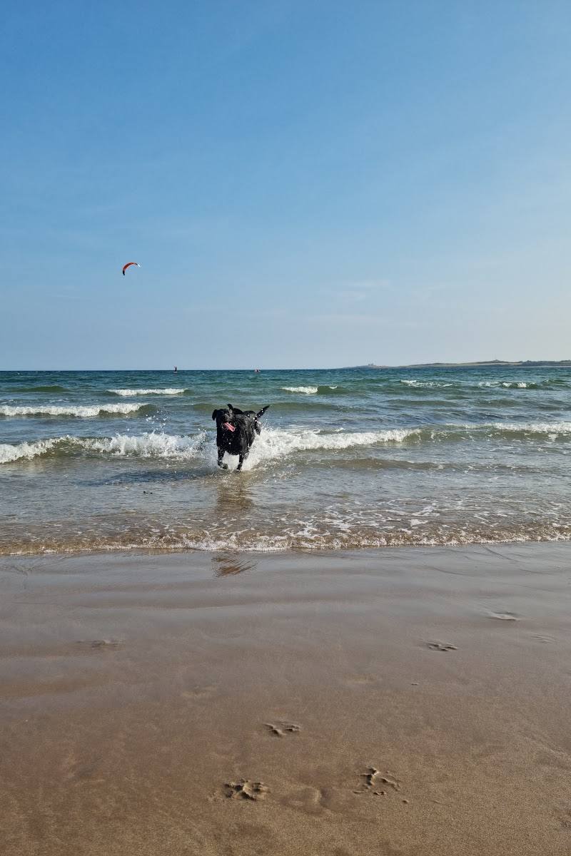 Beadnell Bay