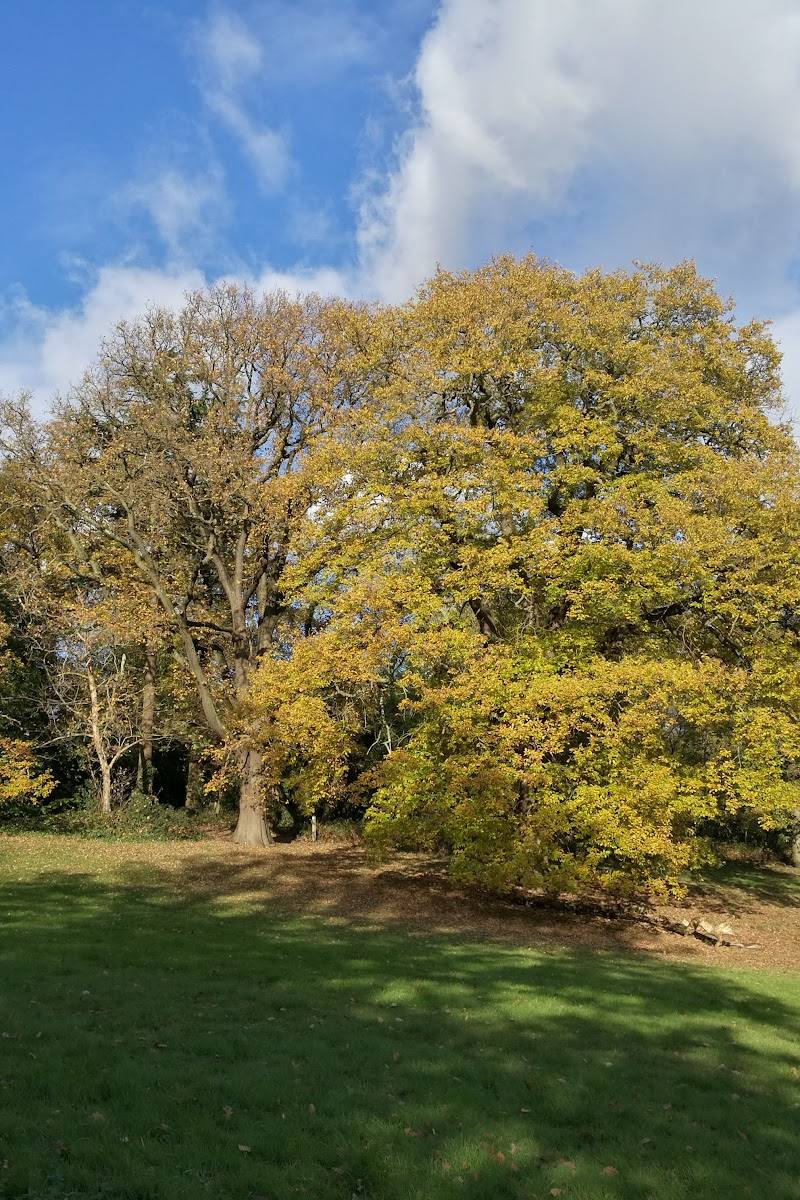 Beaulieu Heights — Place photograph (2 of 3)