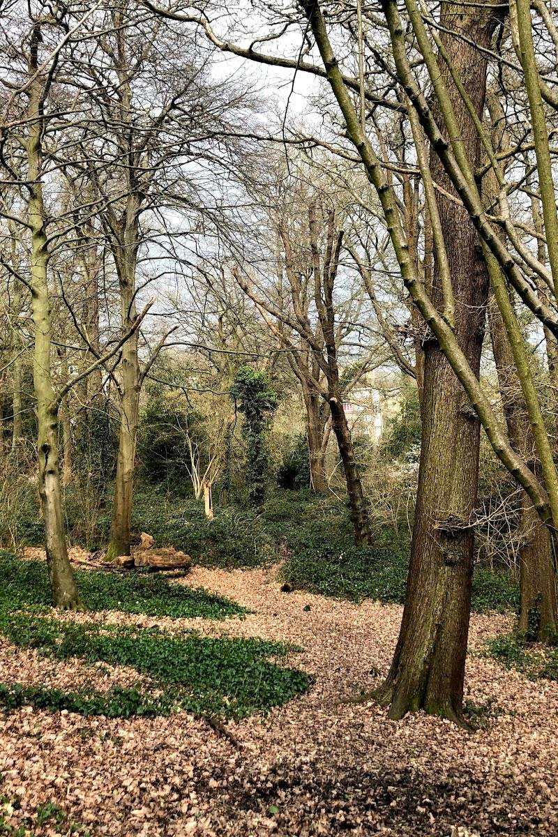 Beaulieu Heights — Place photograph (1 of 3)