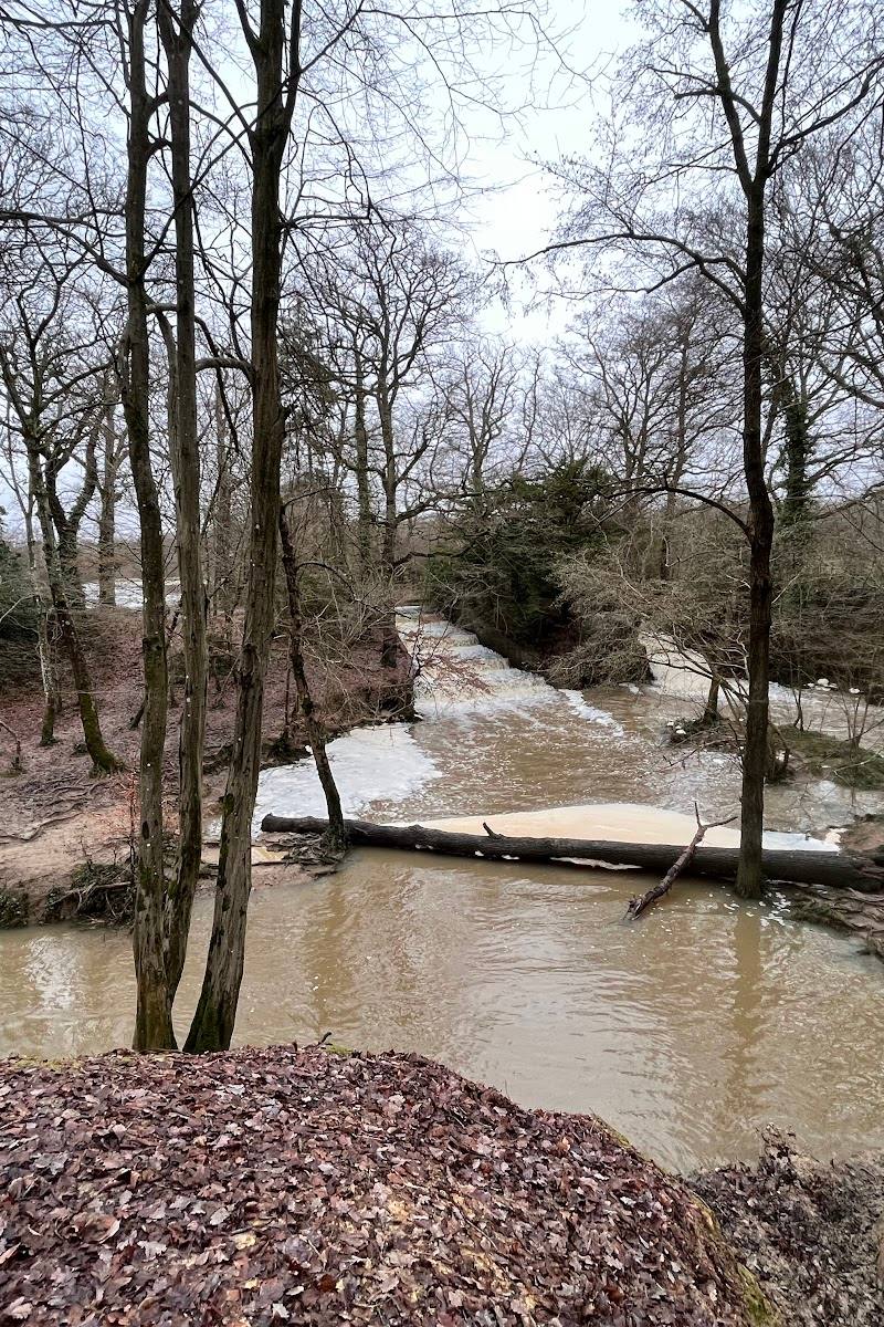 Bedelands Nature Reserve