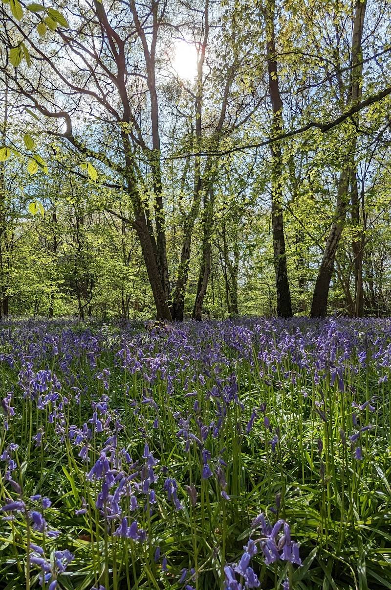 Bedelands Nature Reserve — Place photograph