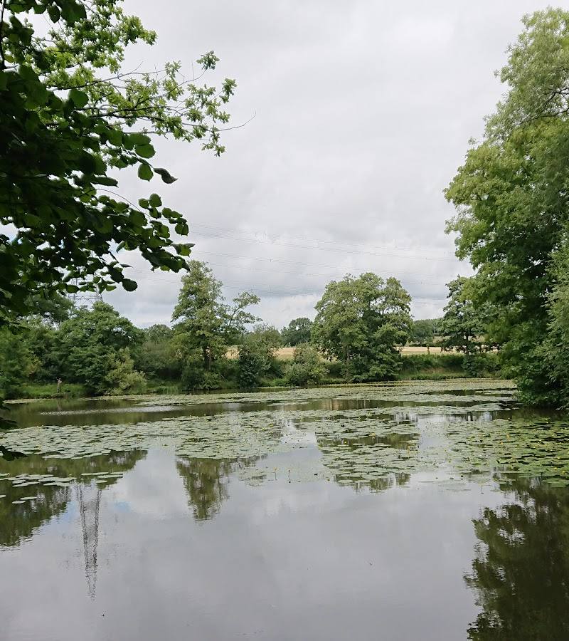 Bedelands Nature Reserve