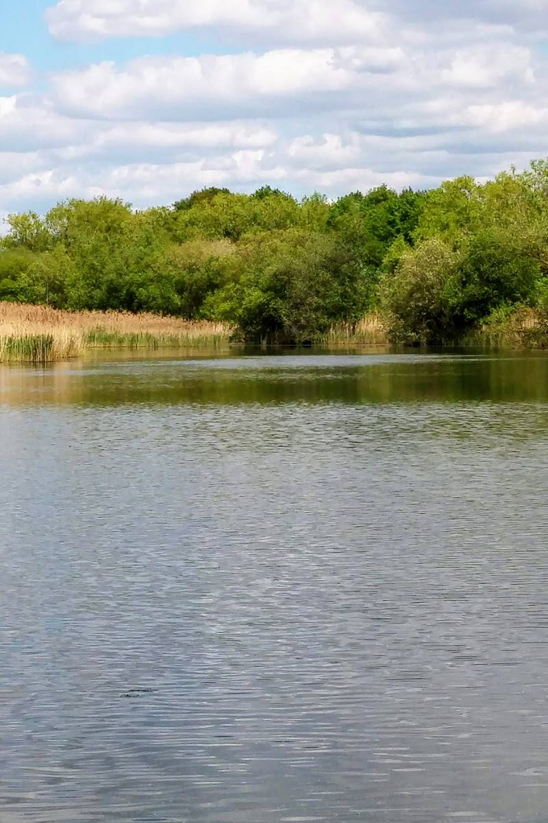 Bedfont Lakes Country Park — Place photograph