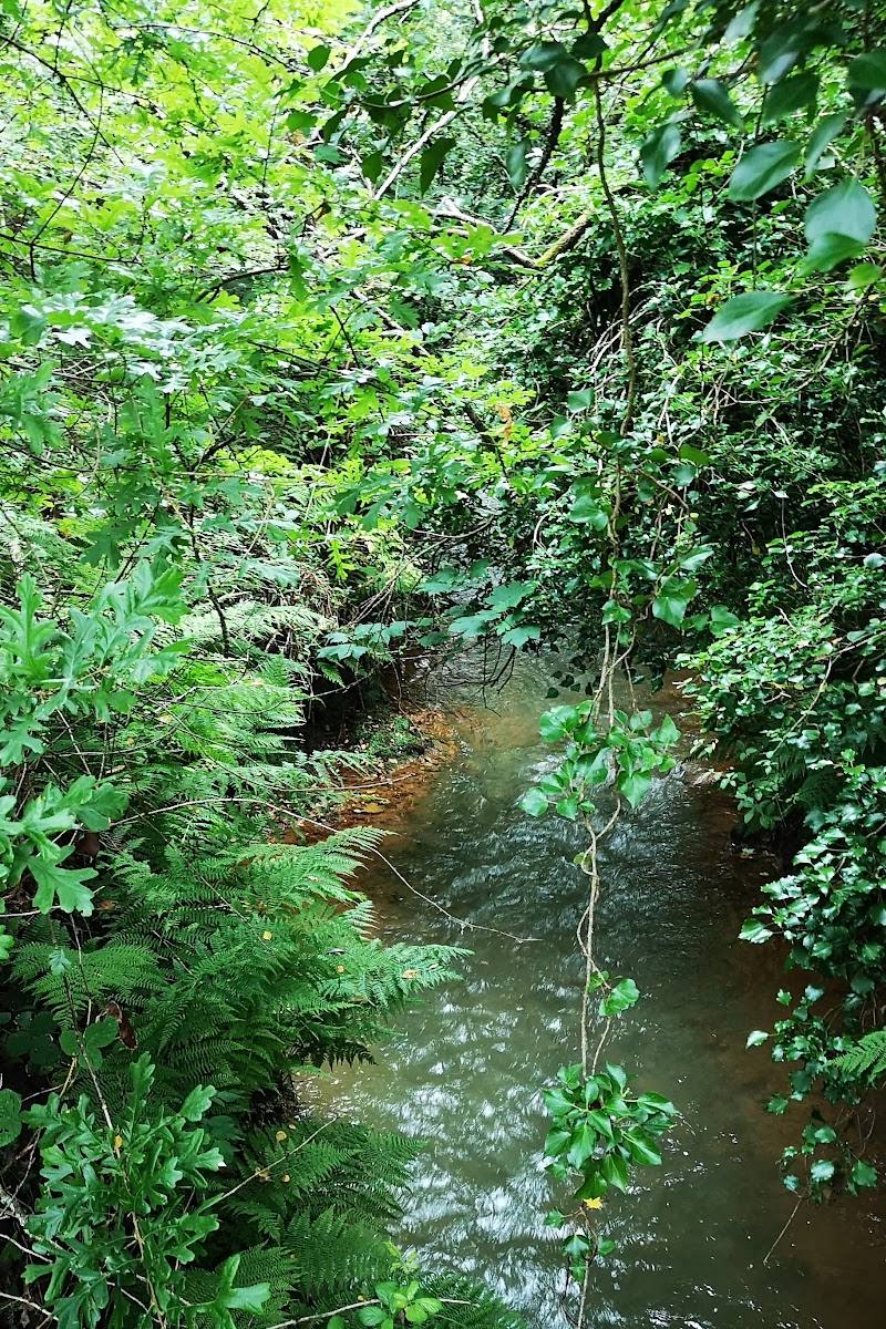 Bell Lake Marsh — Place photograph