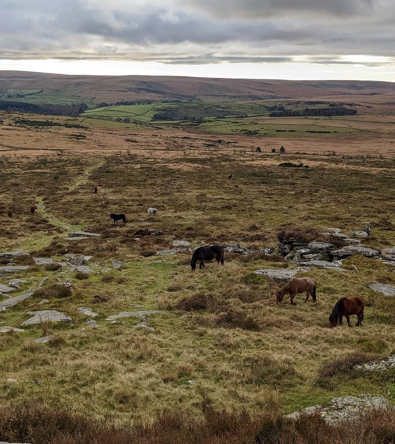 Bellever Tor — Place photograph (2 of 3)