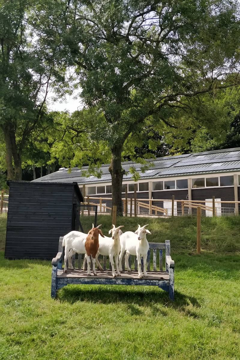 Belmont Children's Farm — Place photograph