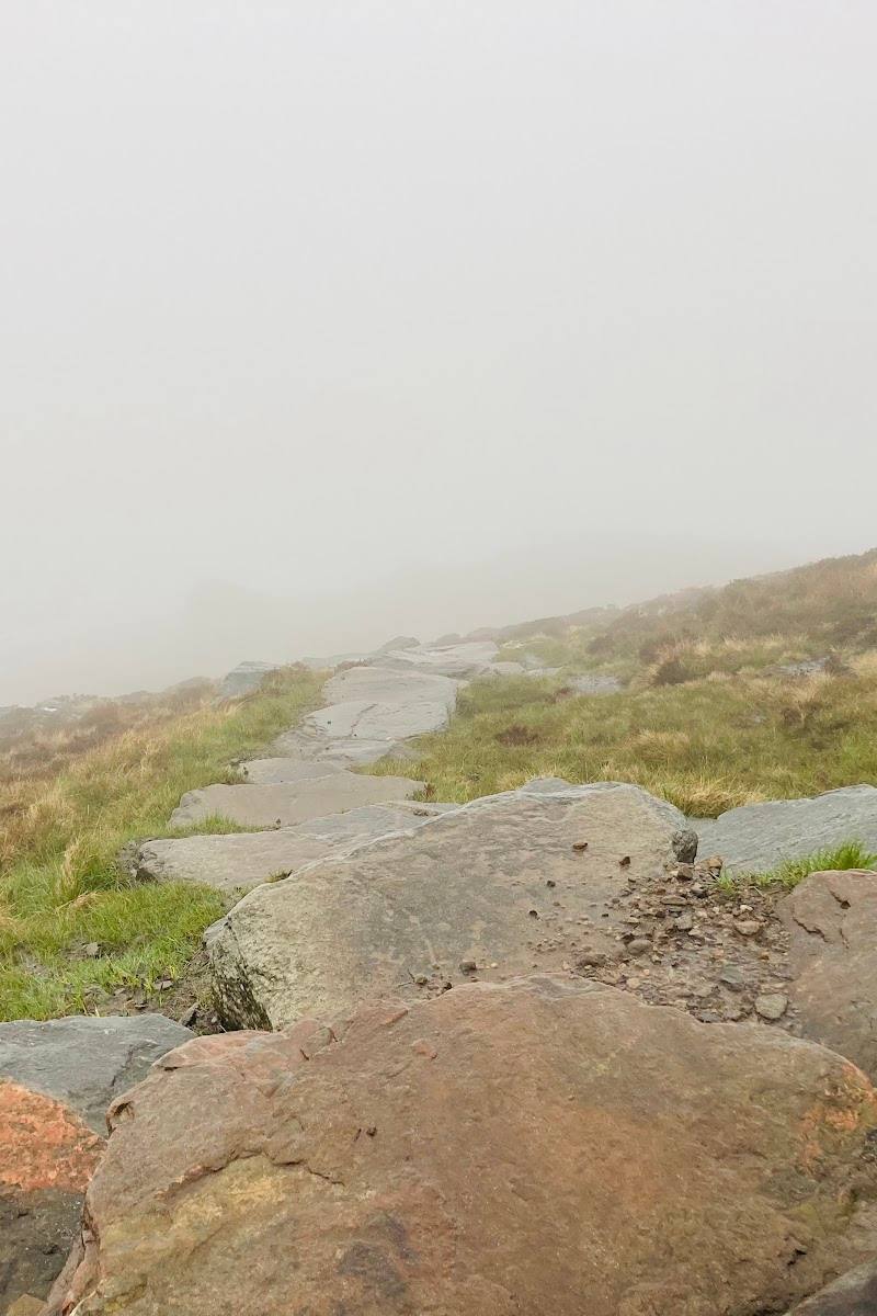 Ben Wyvis National Nature Reserve
