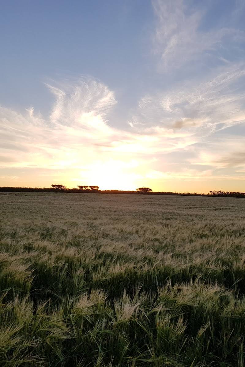 Benacre National Nature Reserve