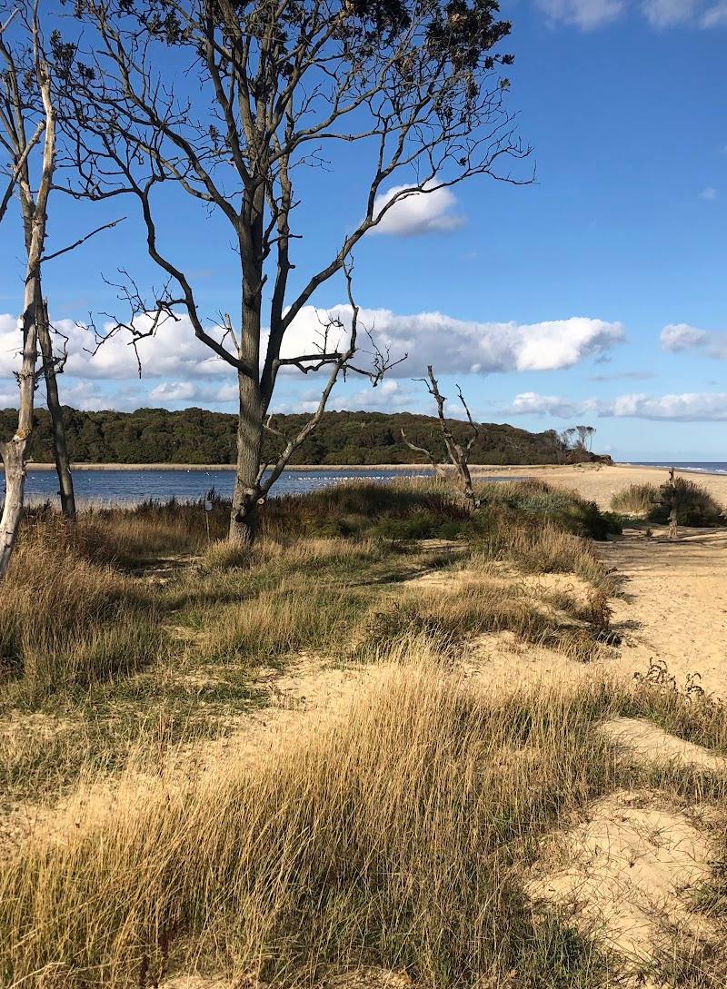 Benacre National Nature Reserve