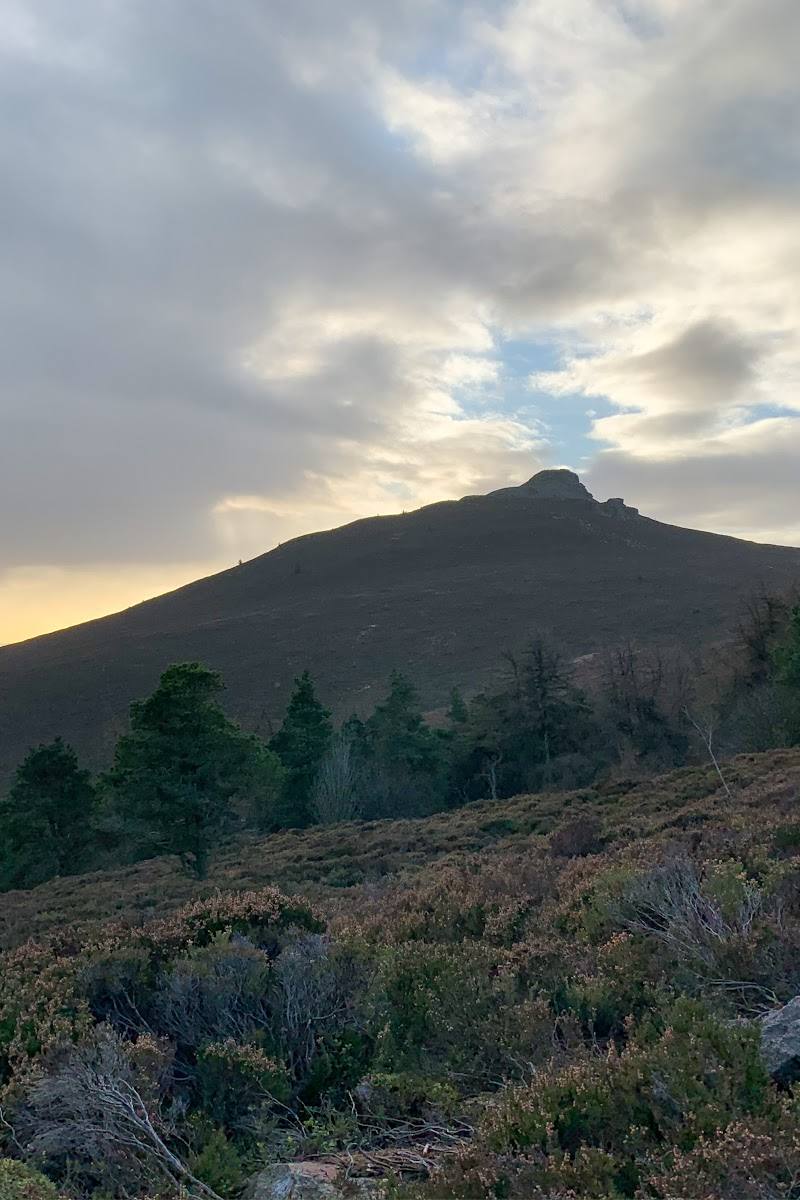 Bennachie