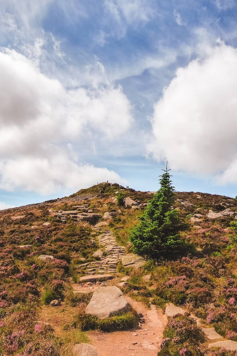 Bennachie