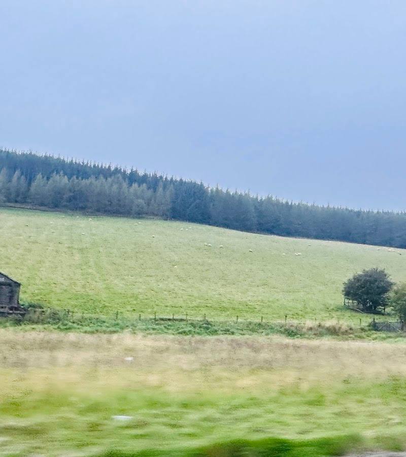 Bennachie