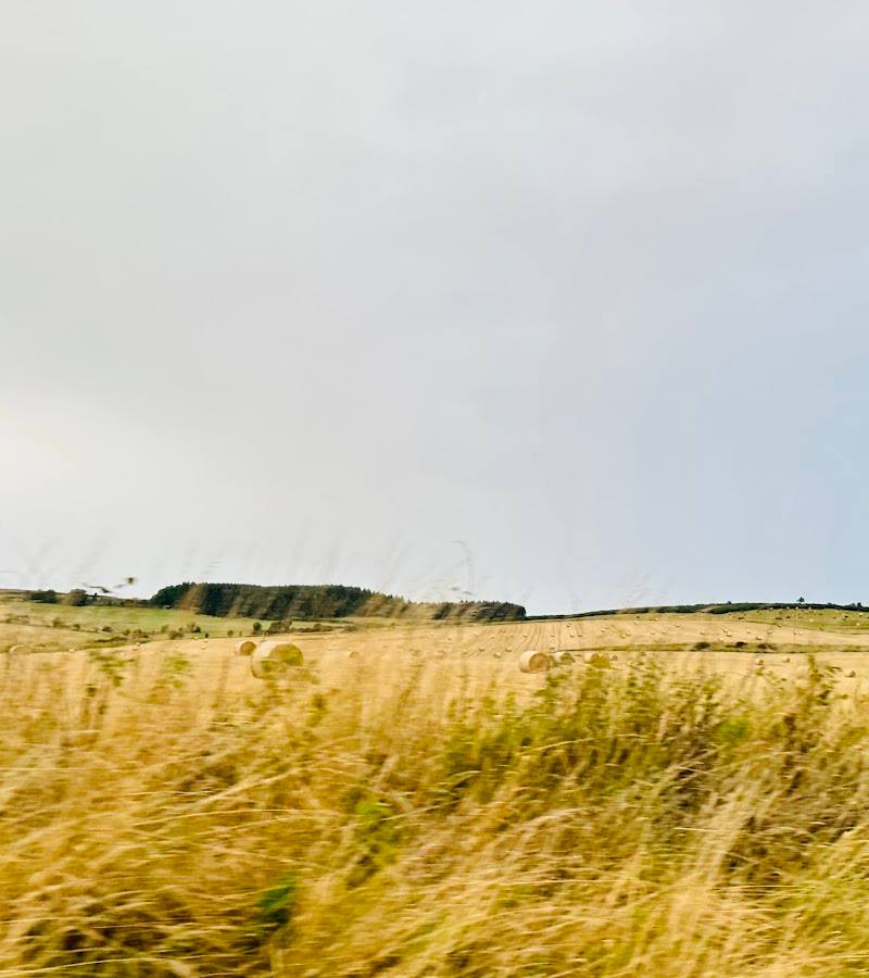 Bennachie
