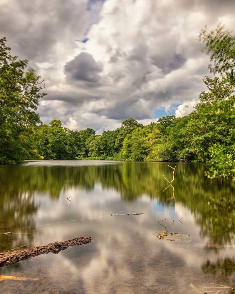 Bentley Priory Nature Reserve — Source image