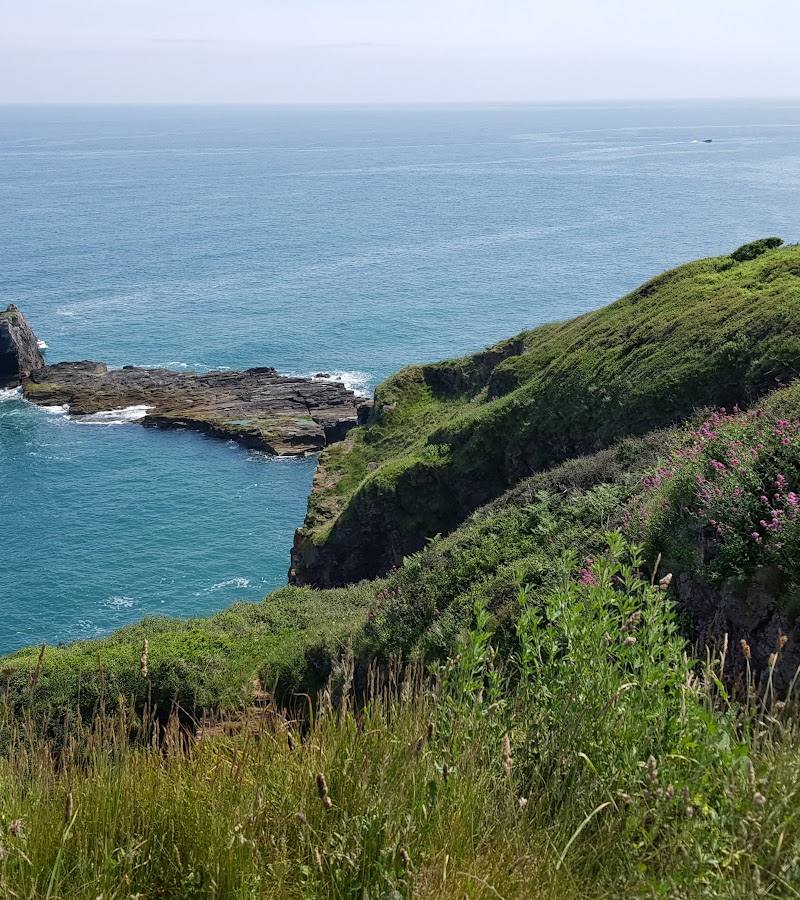 Berry Head National Nature Reserve — Place photograph