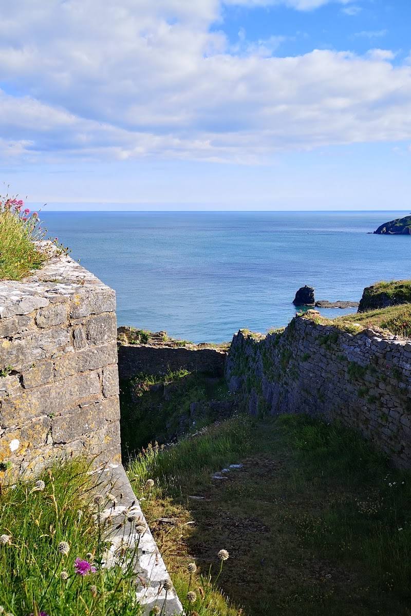 Berry Head Southern Fort — Place photograph
