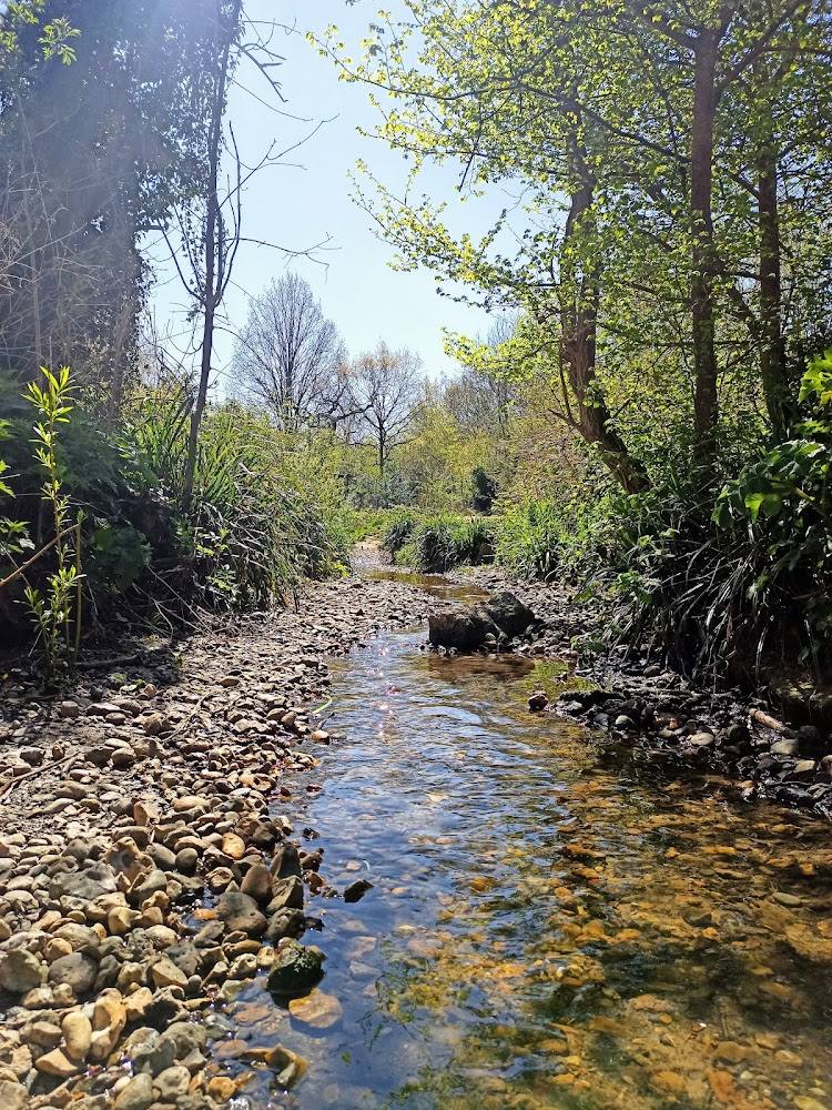 Berrylands Nature Reserve — Source image