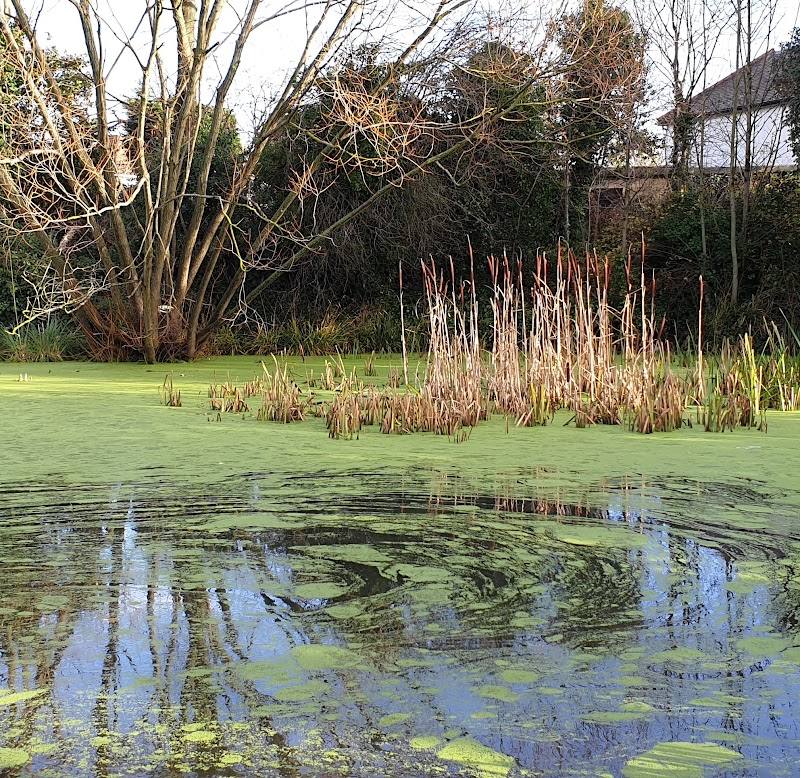 Beulah Hill Pond — Source image