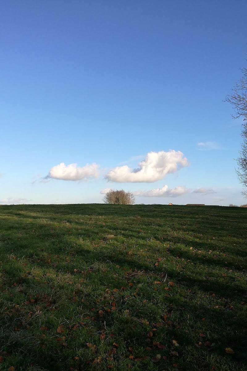 Bincombe Beeches Nature Reserve — Place photograph