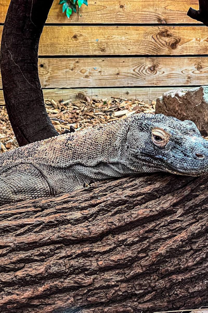 Birmingham Wildlife Conservation Park — Place photograph (1 of 3)