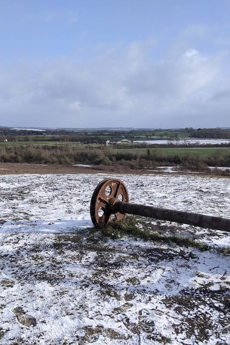 Bishop's Hill Nature Reserve