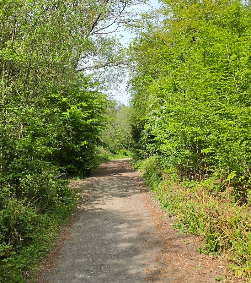 Bishop’s Wood Country Park — Source image