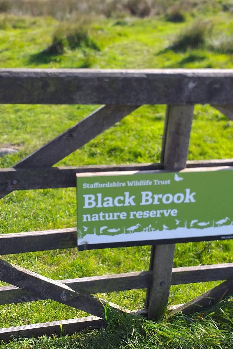 Black Brook Nature Reserve — Place photograph (2 of 3)
