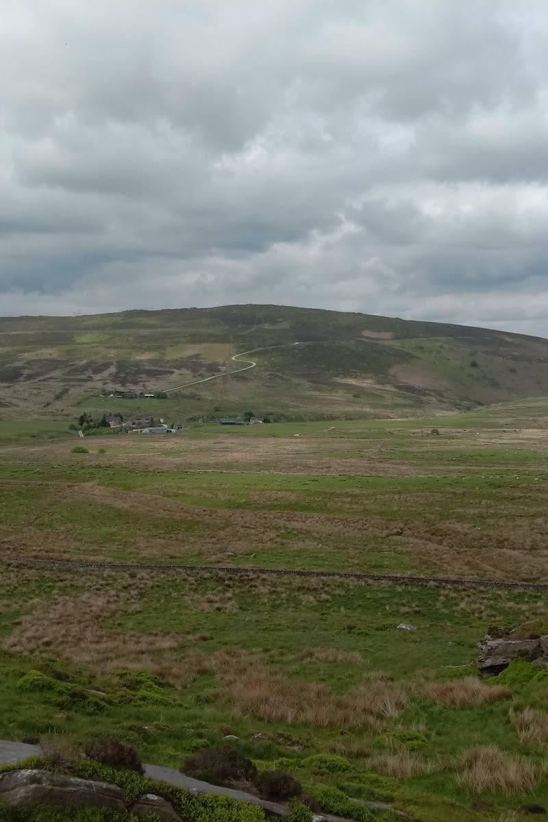 Black Brook Nature Reserve — Place photograph (1 of 3)
