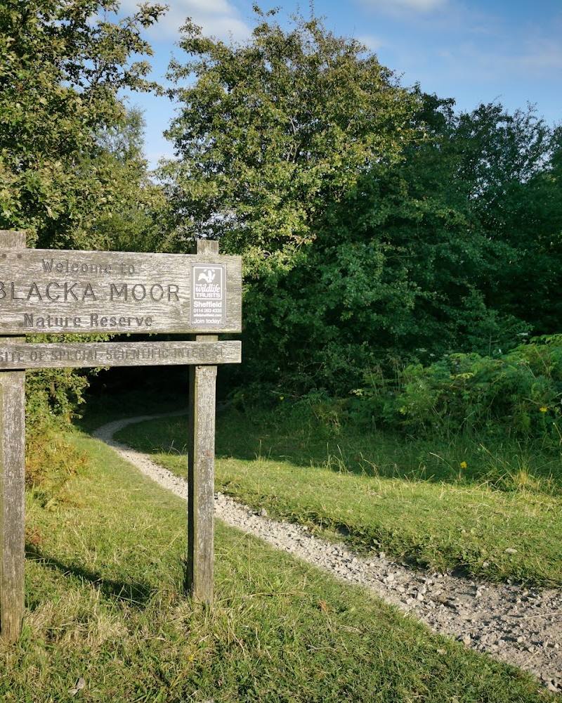 Blacka Moor Nature Reserve — Source image