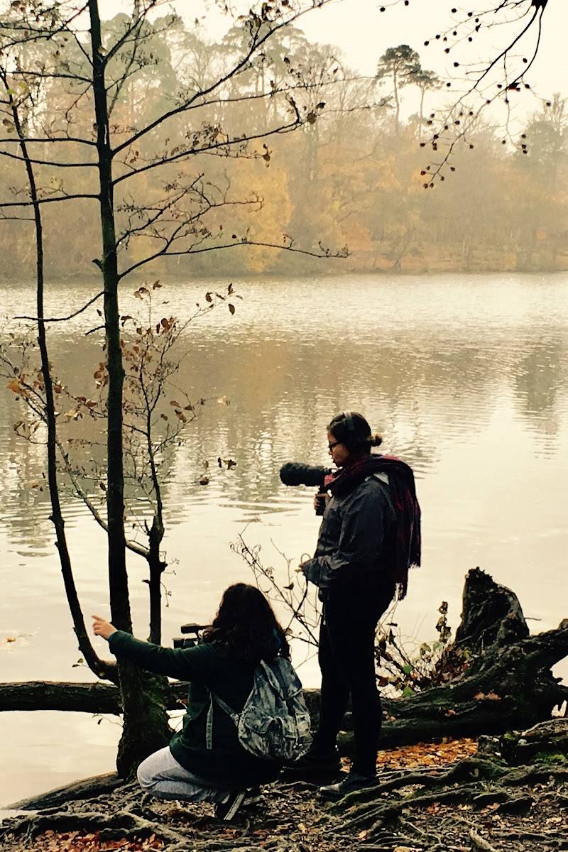 Black Park Country Park — Place photograph