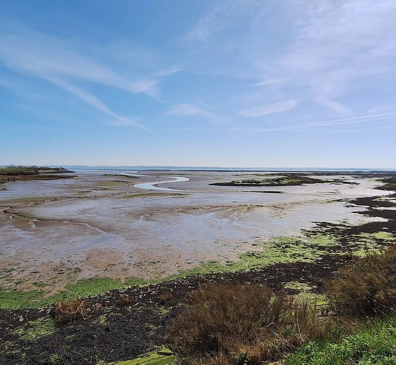 Blackwater Estuary National Nature Reserve — Source image