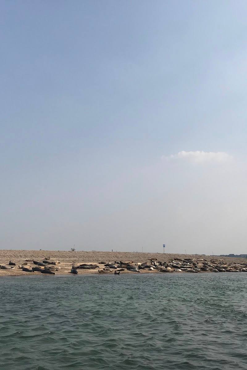 Blakeney Point — Place photograph