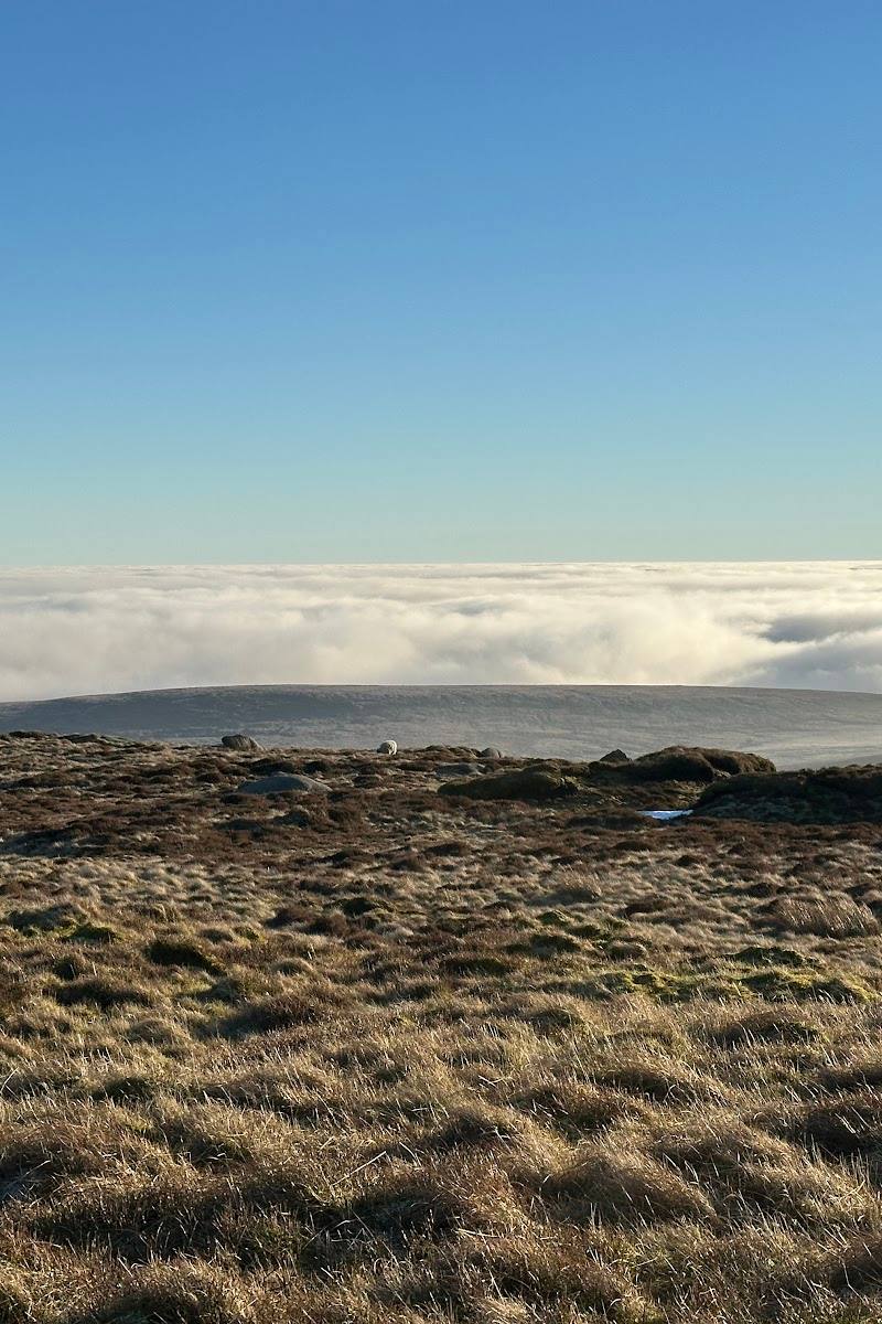 Bleaklow