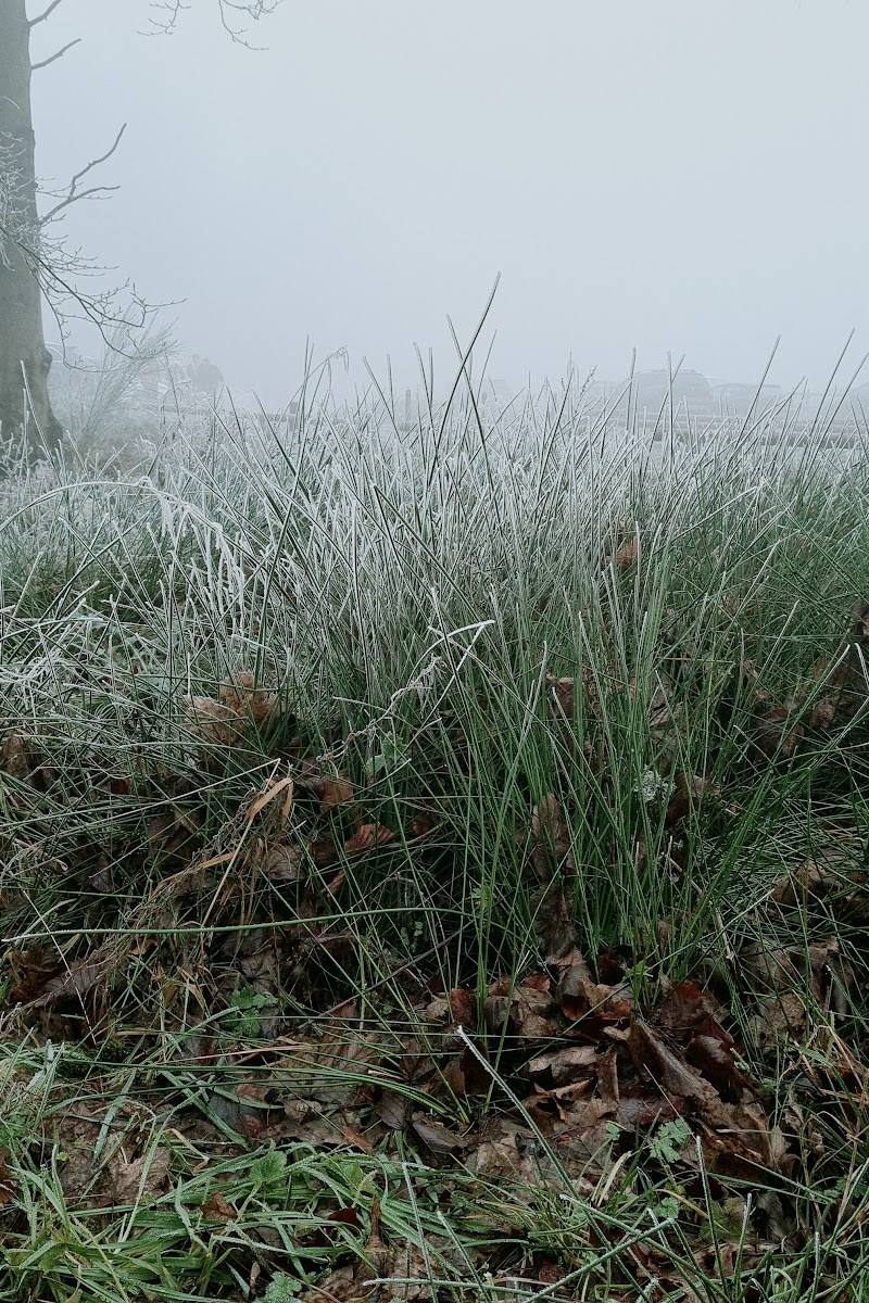 Boddington Hill Fort — Place photograph (3 of 3)