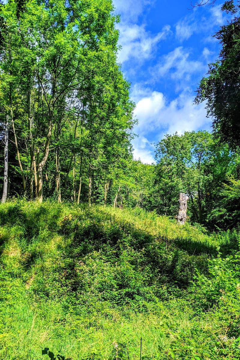 Boddington Hill Fort — Place photograph