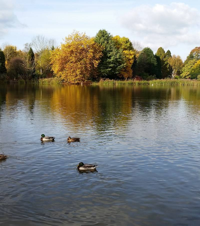 Bodenham Arboretum — Place photograph
