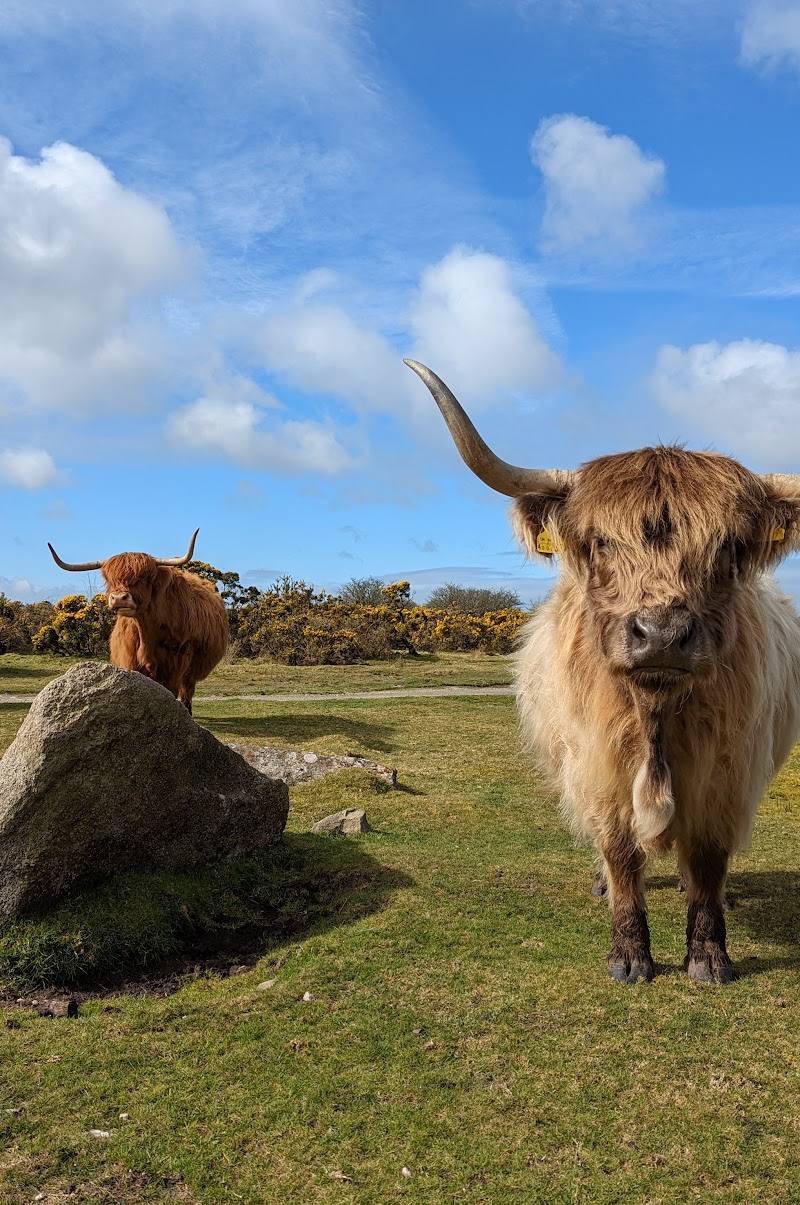 Bodmin Moor