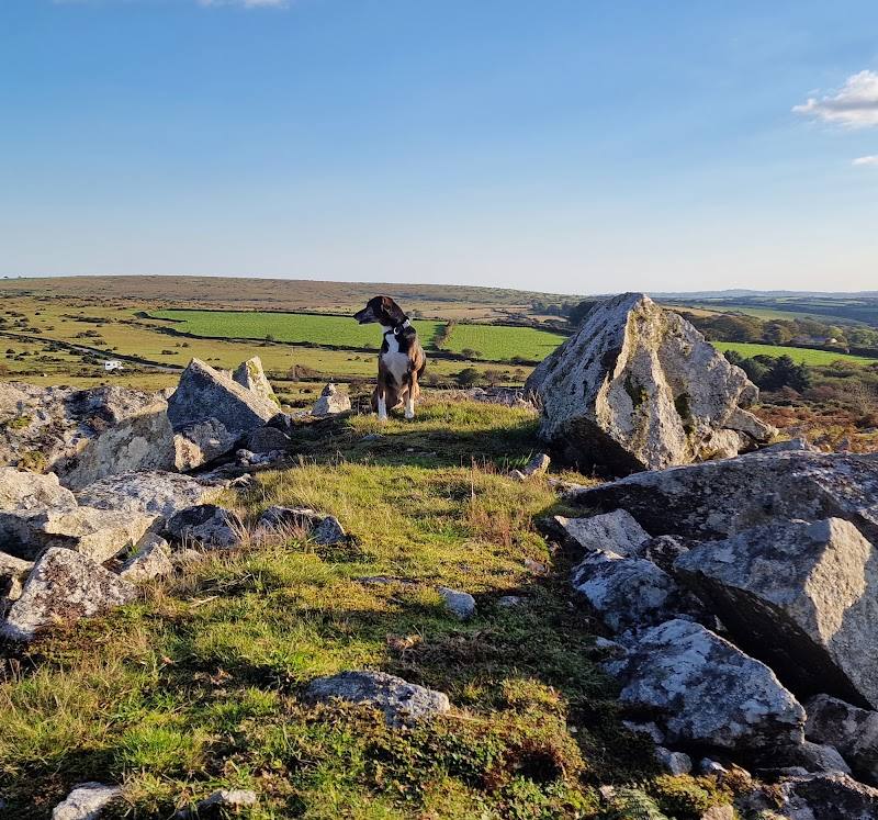 Bodmin Moor