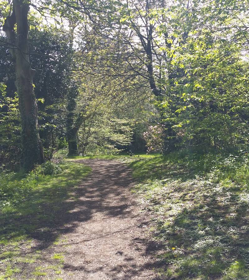 Boilton Wood — Place photograph