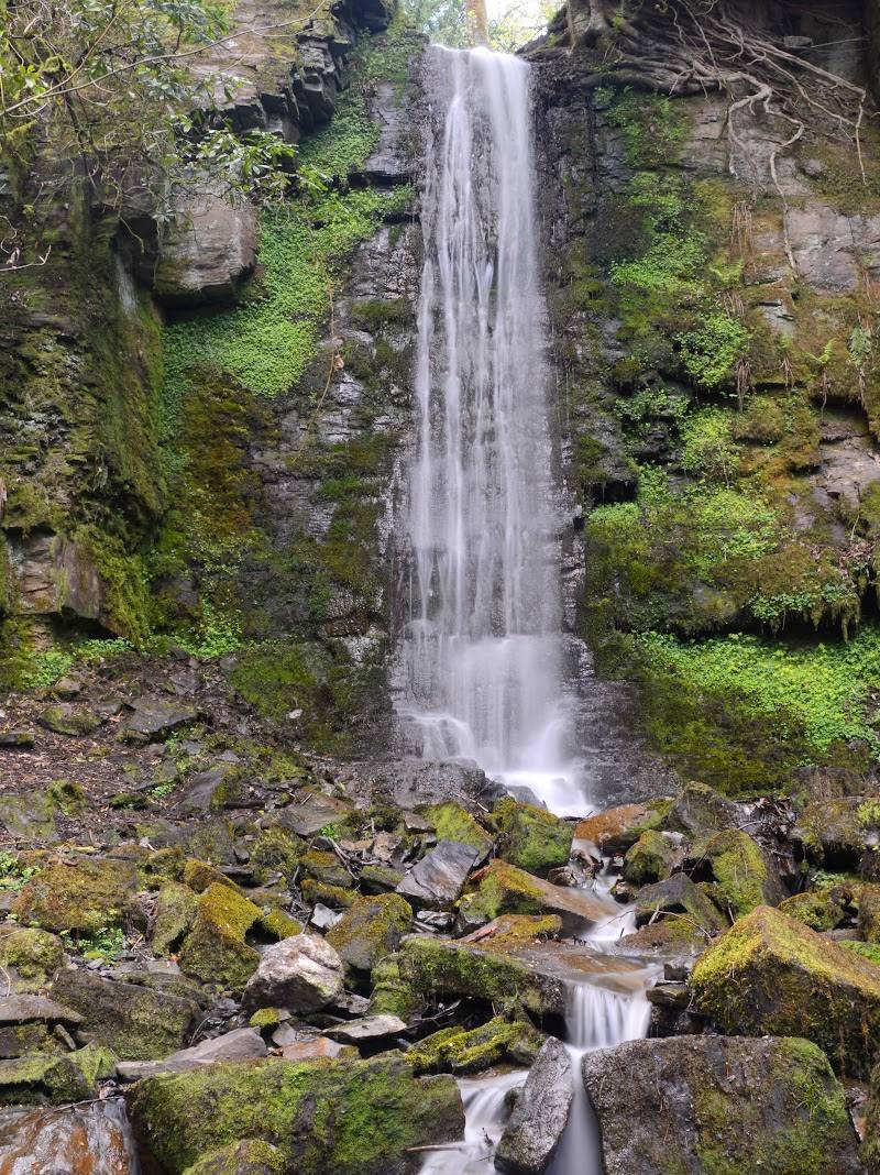 Bold Venture Park Waterfall — Place photograph